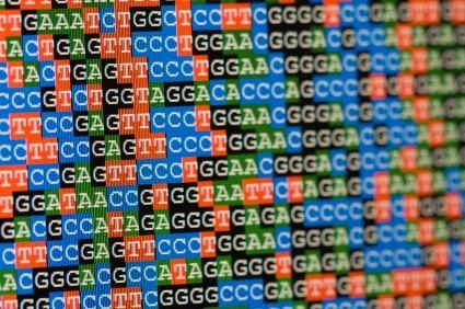 Overview Sequencing of the human genome was completed by 2007.