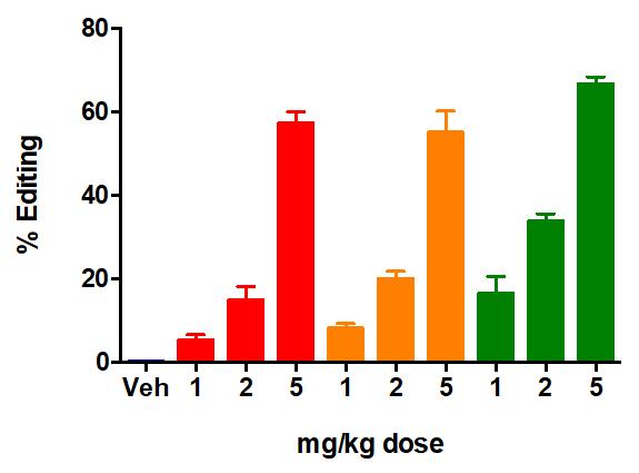 Characterization in Higher Species - Rats 66% Liver Editing Achieved 91% Reduction in Serum TTR