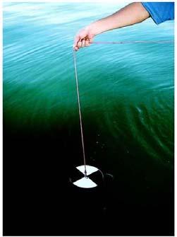 Measuring Water Clarity Secchi Disk Other more complicated methods So Why is the ocean blue?
