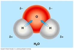 Chemical Reactions Polar covalent bonds in a water molecule