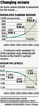 The Acid Ocean While we worry over atmospheric climate change, the real crisis of the 21 st century will probably be in the Ocean.