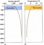Staying about the same Temperature and Density Temperature