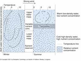 temperature D = Mass / Volume Clines in the Ocean Physical
