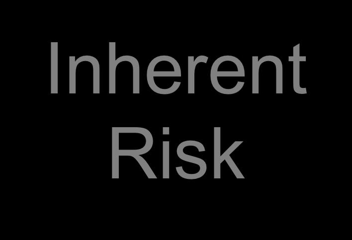 risks to be managed throughout the program Inherent Risk Services