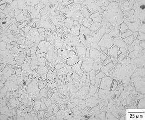 show the microstructure and TEM examination of HAZ taken by extraction replicas, and
