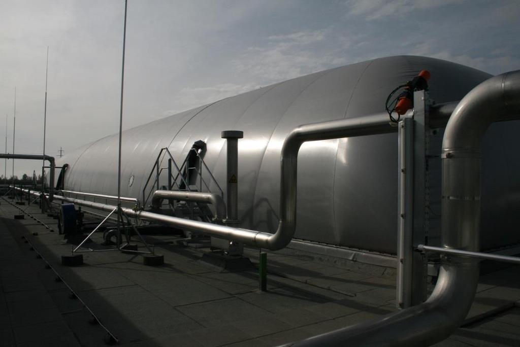 Biogas CHP with gas