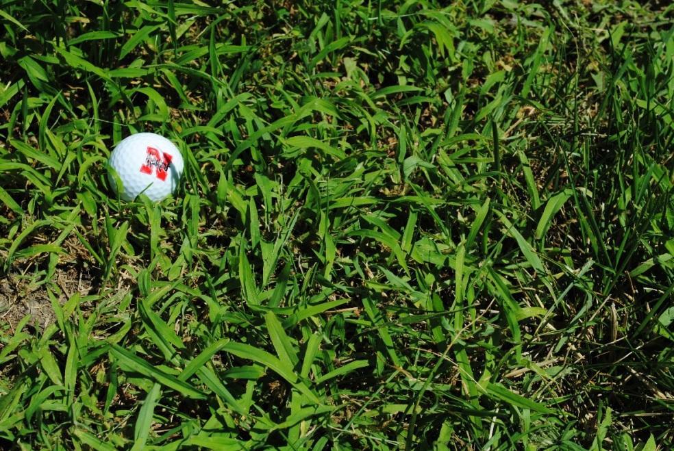 Use Weeds as Indicators Algae and moss may indicate excess moisture Crabgrass
