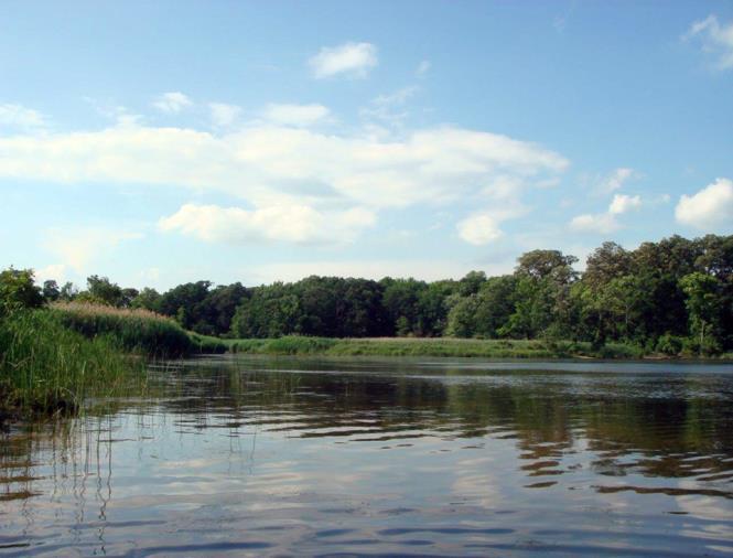 Through the Chesapeake Bay Watershed Agreement, the Chesapeake Bay Program has committed to Vital Habitats Goal Riparian Forest Buffer Outcome: Restore