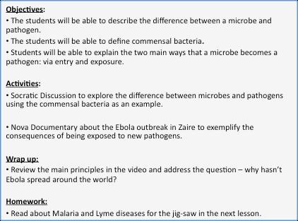 Unit 3: When does a microbe become pathogenic? Outline 2Lesson Unit1.2 Outline UNIT THREE Lesson 1: The zoo in you our microbial ecosystem.