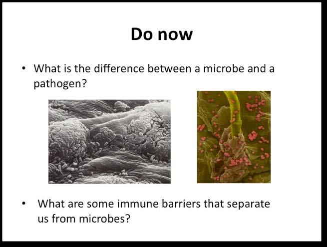 As you can imagine, the more adaptations a microbe has, the more pathogenic it becomes. Some symbiotic functions of commensal bacteria: 1. They digest foods and help us absorb vitamins. 2.