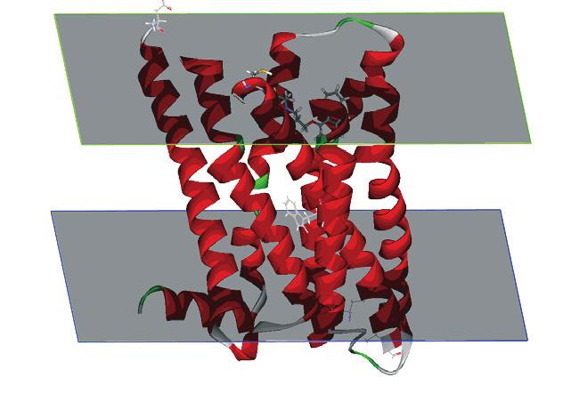 New scientific functionality X-ray Access new collection of protocols for building and refining molecular structure models from X-ray crystallographic data Access the CNX, popular X-ray refinement