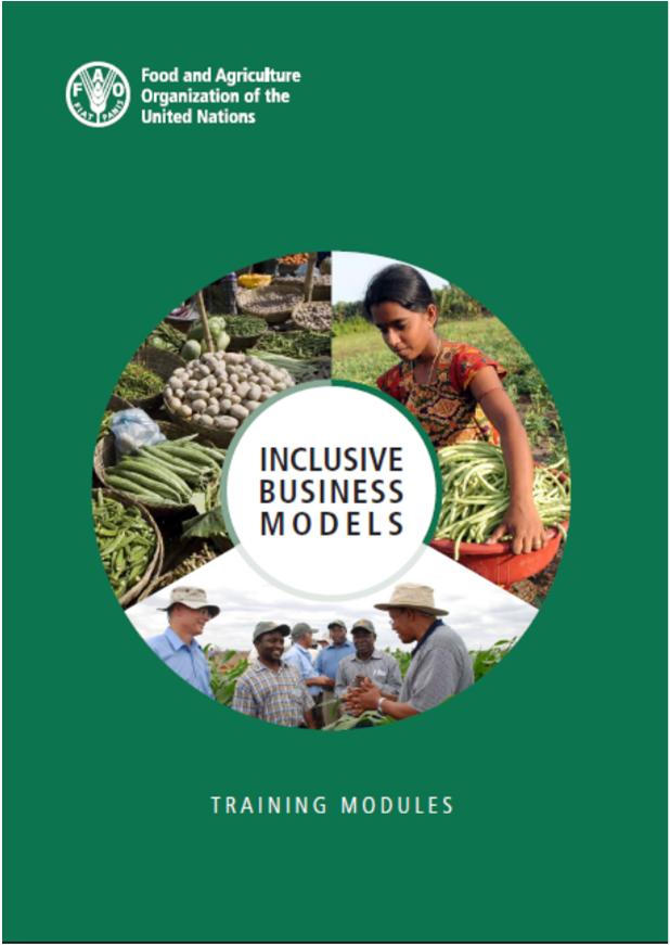 Approaches for social sustainability Inclusive Business Models (IBMs): integrating small farmers or other vulnerable groups into markets or value chains.