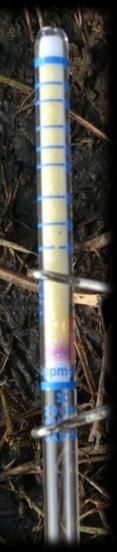 Dosimeter Reading ppm/hr Fall Applied Liquid & Solid Digestate with Cover Crop 1000 Ammonium-N Loss from Liquid and Solid Digestate After Aug 19 application with Oat Cover