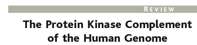 René Bernards NKI) 518 putative kinases 12 PI3K domain-containing genes 13 diglyceride kinases 6 PI3K regulatory components 9 inositol