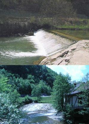 Balkans) Europe's Rivers Major source of biodiversity Part of our rich