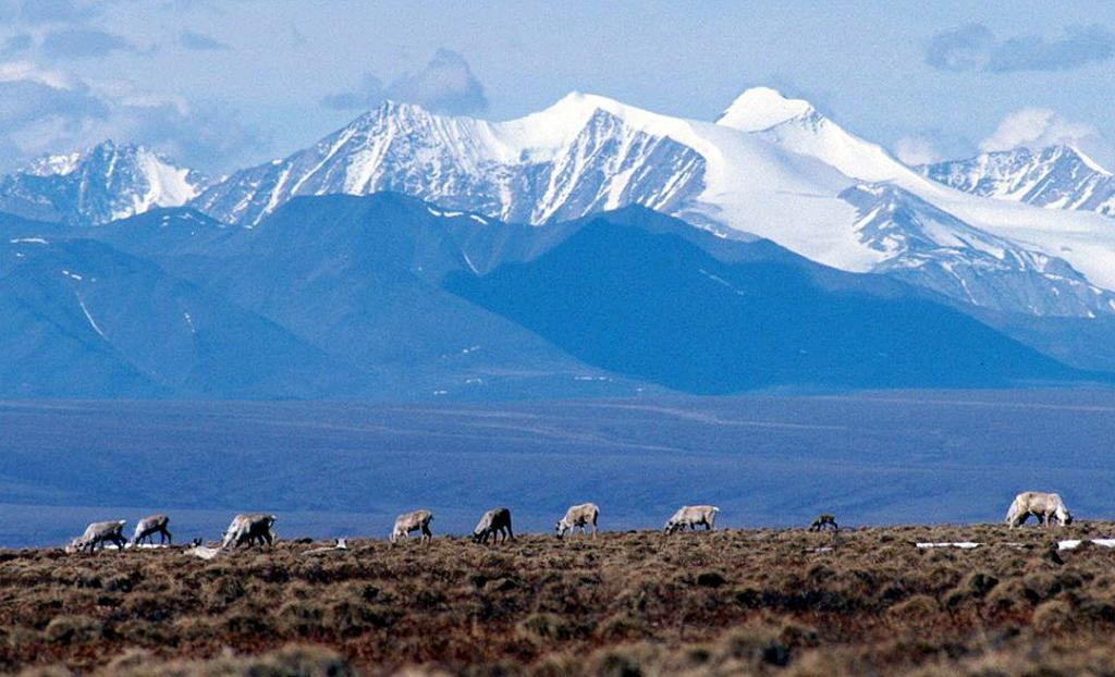 Arctic National Wildlife Refuge PROS - Could boost domestic oil supply - Could help Alaska economy and produce local jobs CONS - Exploration and