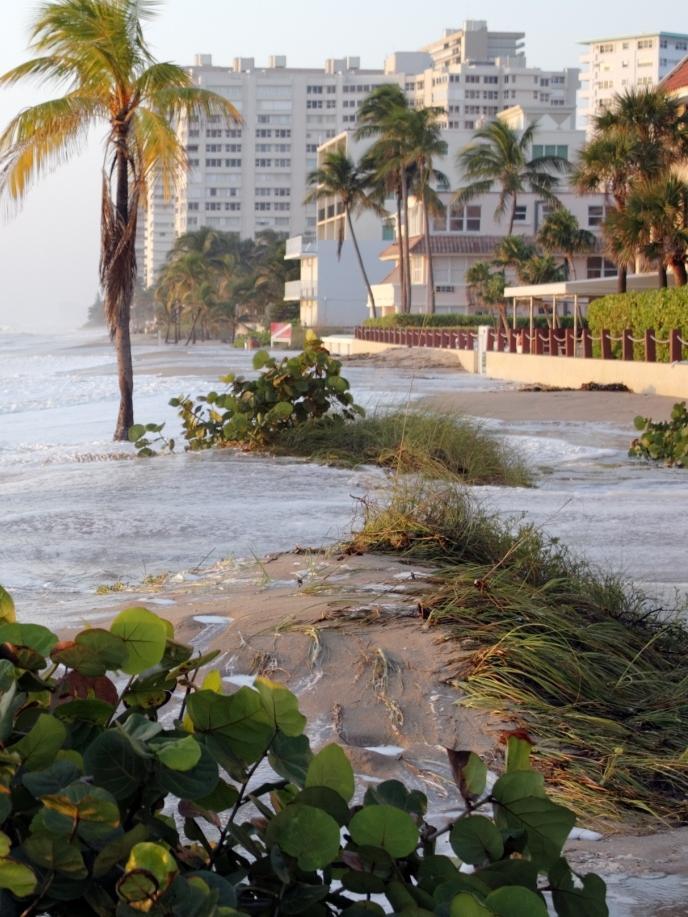 Sea-Level R Affects Natural & Built Environments Shoreline and beach erosion Shifts in wetlands