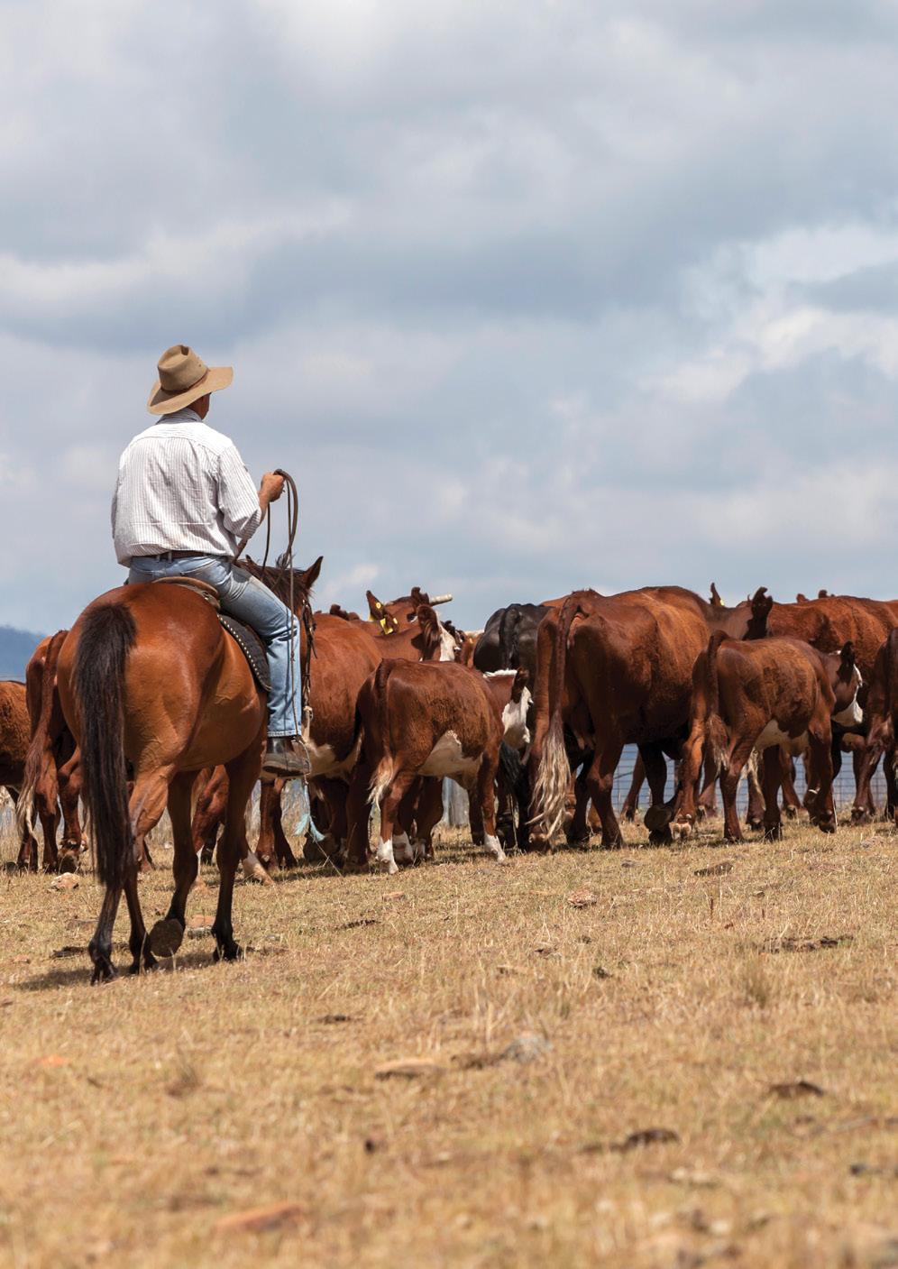 Australian Livestock Spatial Innovation