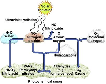 Photochemical smog: secondary pollutants (HNO 3 PANs, O 3 ) are