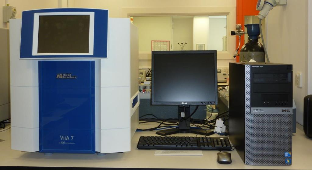 Real-time quantitative PCR Taqman chemistry