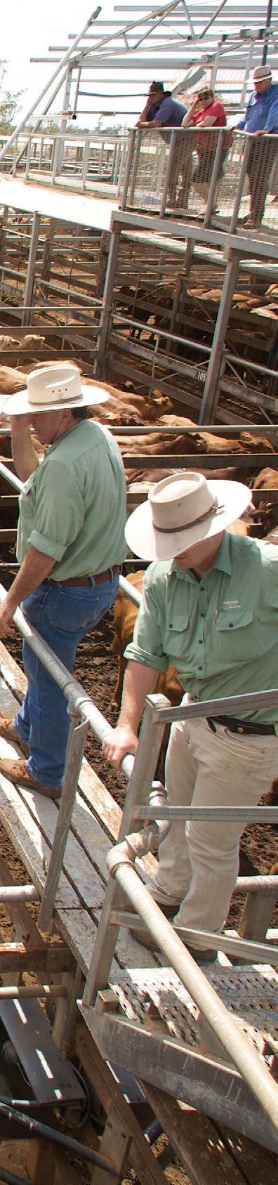 AT SALEYARDS AND DURING TRANSPORT As livestock leave the farm or the feedlot, their movement is governed by a number of programs and systems to ensure the integrity, traceability and welfare of the