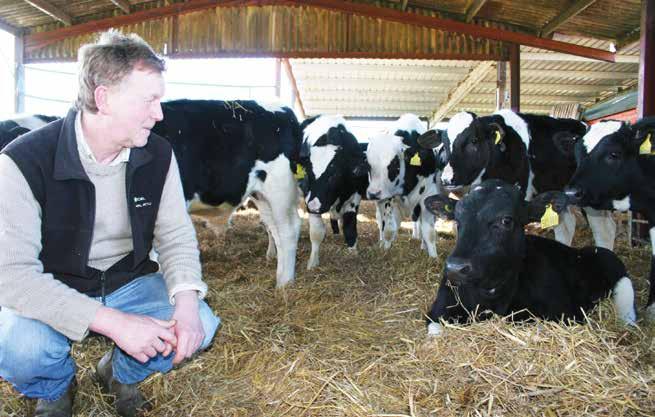 CASE STUDY 2 James has developed a high-welfare veal system on his Suffolk farm. The calves reared for veal are all dairy bull calves and are mainly sourced from Waitrose dairy farms.