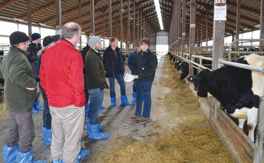 Colostrum management There have been Asda offers on colostrumeters (to assess colostrum quality), colostrum storage systems and pasteurisers to improve calf health.