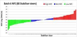 NFE results Batch (80 Stabiliser steers) - slaughter Low NFE Mid NFE High NFE Sale LW (kg) 642 650 639 CCW (kg) 341.8 344.8 341.