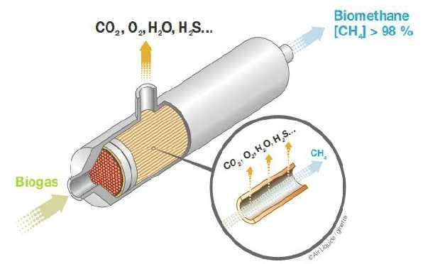 Hollow Fiber Membrane Technology for CO 2 / CH 4 Separation The membrane separates gases by the principle of selective