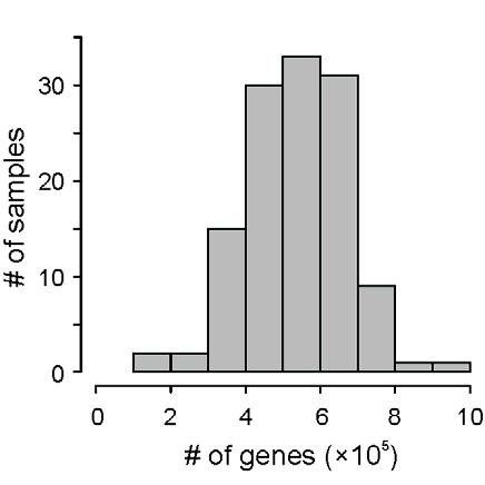 Human intestinal microbial genes are largely shared in the cohort Each individual has ~540 000 prevalent genes, on average Deeper