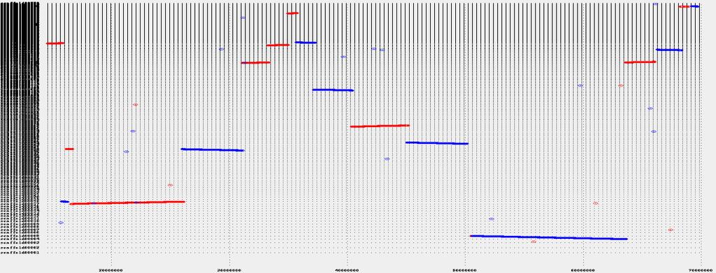 Mummer plot of synteny between Zebra Finch and Budgie