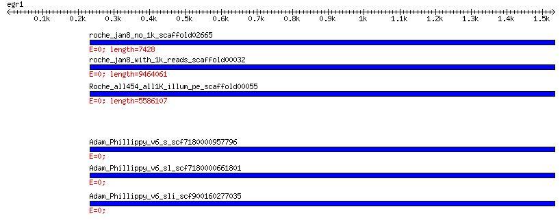 GC rich exons Egr1 behaviorally regulated gene Nb-454 short Nb-454 long Nb-hybrid CA-454