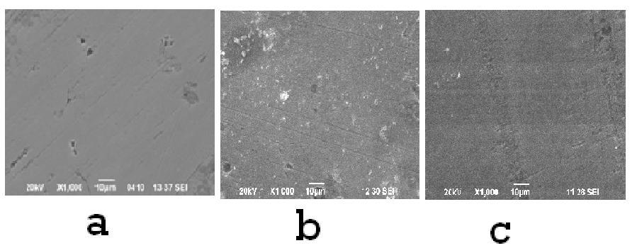 Figure-3 SEM micrographs of (a) polished Carbon steel (control) - Magnification-X1000, (b) Carbon steel immersed in sea water - Magnification-X1000, (c) Carbon steel immersed in sea water containing