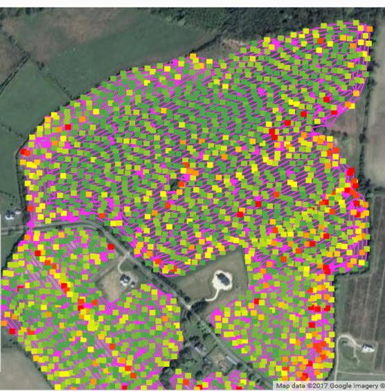 25 Area 2 Area 1 Carlow Field Maps Teagasc measurements 217 Consulted
