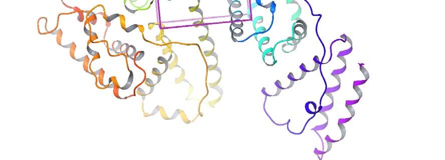 vgnezditi. V našem primeru smo ligande izrisali s programom Marvin Sketch (msketch) in jih shranili v obliki sdf formata. V preglednici 5 so 2D stukture ligandov, ki smo jih uporabili tekom študije.