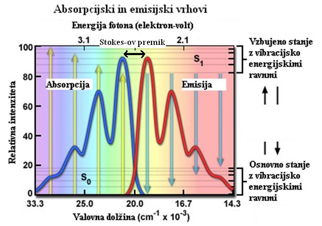 Benedik E. Vpliv katehinov na delovanje enterotoksinov. 32 Medsebojno delovanje elektromagnetnega valovanja in snovi je lahko različno.
