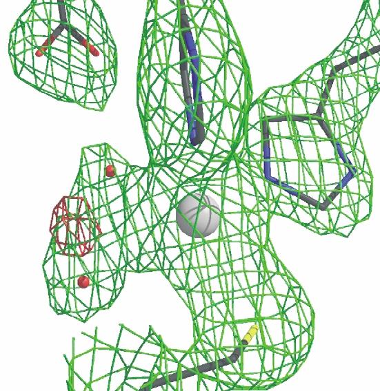 Notes: green: 2Fo 2 Fc map; red: Fo 2 Fc map with a 3 sigma cut-off. The electron density of this local area is essentially identical for the two subunits in the asymmetric unit.