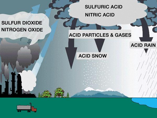 Smoke and gases pollute the atmosphere and cause the following effects: Acid rain.