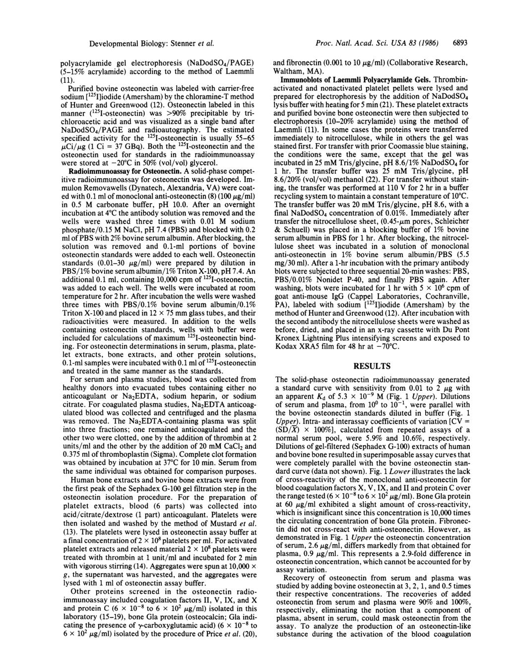 Developmental Biology: Stenner et al. polyacrylamide gel electrophoresis (NaDodSO4/PAGE) (5-15% acrylamide) according to the method of Laemmli (11).