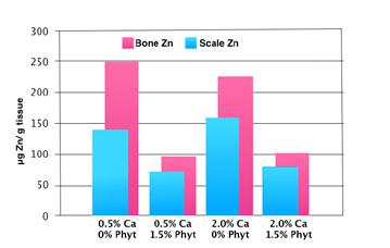 The Zn requirement for most fresh water fish (catfish, rainbow trout, tilapia, carp), is between 15-40 mg Zn/kg diet.