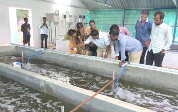 Company News AMF based shrimp nursery technology for EHP mitigation Dr Arasu, principal scientist (retired) from the Central Institute of Brackishwater Aquaculture (CIBA) spoke on the overall issues