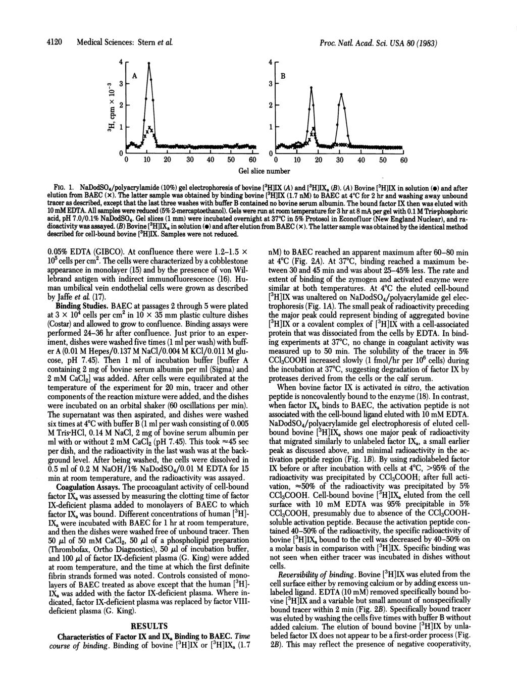 412 Medical Sciences: Stern et al. Proc. Natl. Acad. Sci. USA 8 (1983) 4 cm 3 o x 2 $1 4 3 2 1 B 21 I I I 6 1 2 3 4 5 6 1 2 3 4 5 6 Gel slice number FIG. 1. NaDodSO4/polyacrylamide (1%) gel electrophoresis of bovine [3H]IX (A) and [3H]IXa (B).