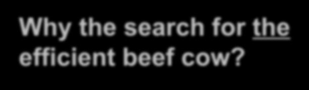 Why the search for the efficient beef cow?