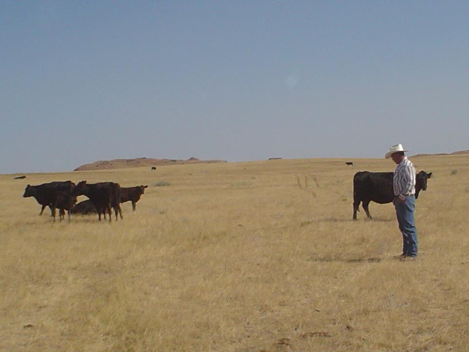 Observations of a Montana Rancher (Lon Reukauf; Terry) 1.