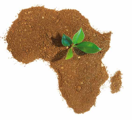 Agribusiness and Development: How investment in the African agri-food sector can help support development Seminar