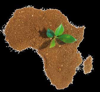 Agribusiness and Development: How investment in the African