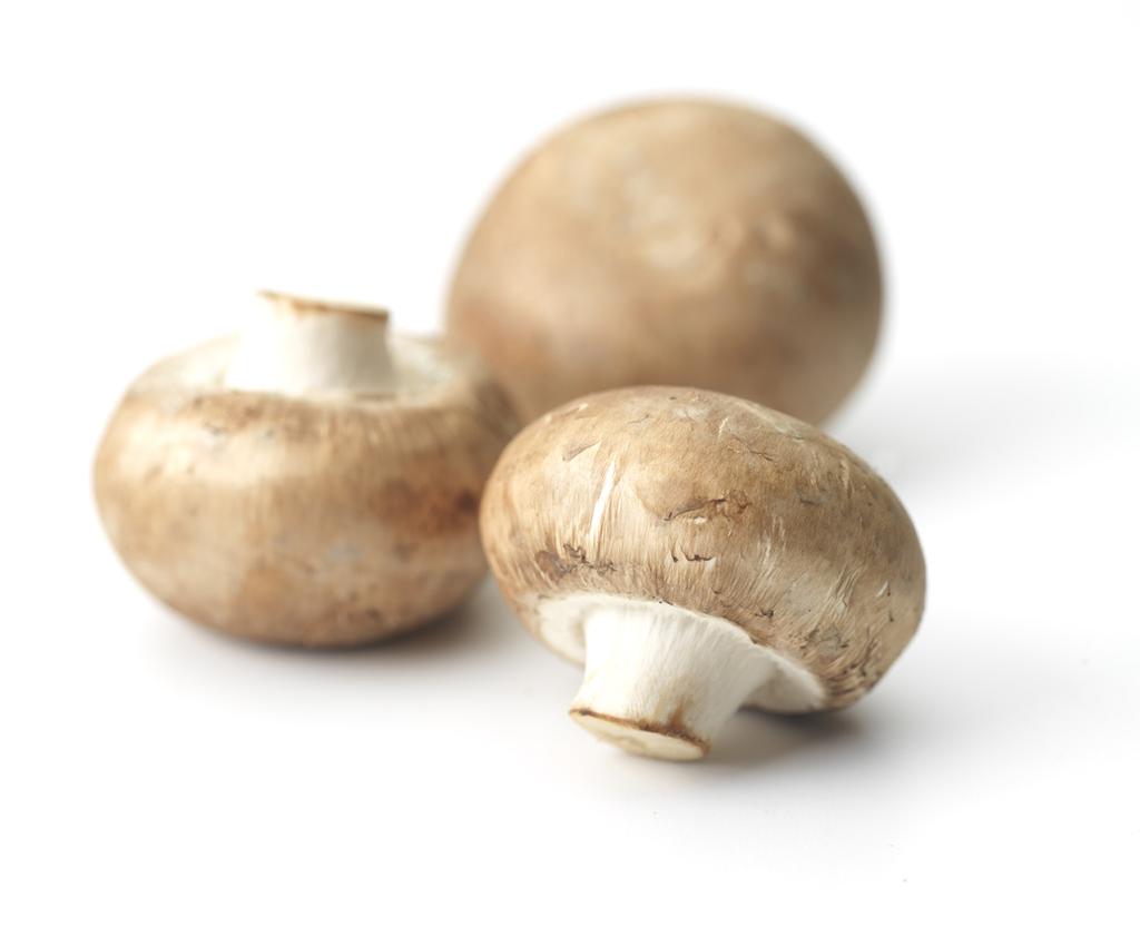 Spotlight on: MUSHROOMS British Columbia is the largest mushroom exporter and the second largest mushroom producer in Canada. 80.4 ANNUAL MUSHROOM EXPORTS FROM B.C. ($ MILLIONS) 66.0 64.5 54.2 56.
