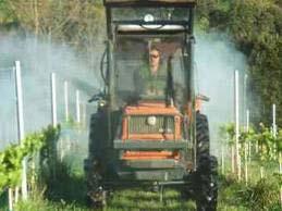 Soluble/liquid fertilizers (fertigation, foliar sprays).