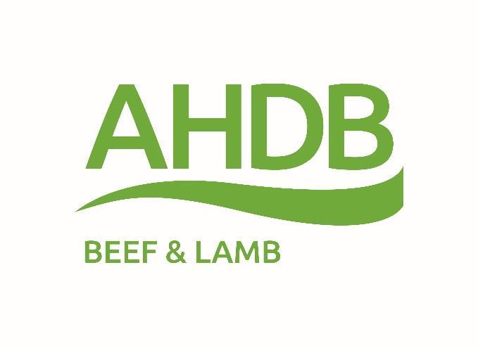 AHDB Beef & Lamb Business Plan 2016-2019 AHDB Beef & Lamb is a