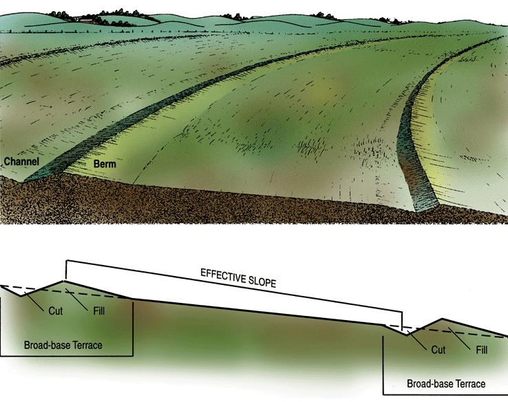 Interpretations and Management of Soil of the slope is increased by both broad-base and narrowbase terraces. The slope is decreased by steep backslope terraces.